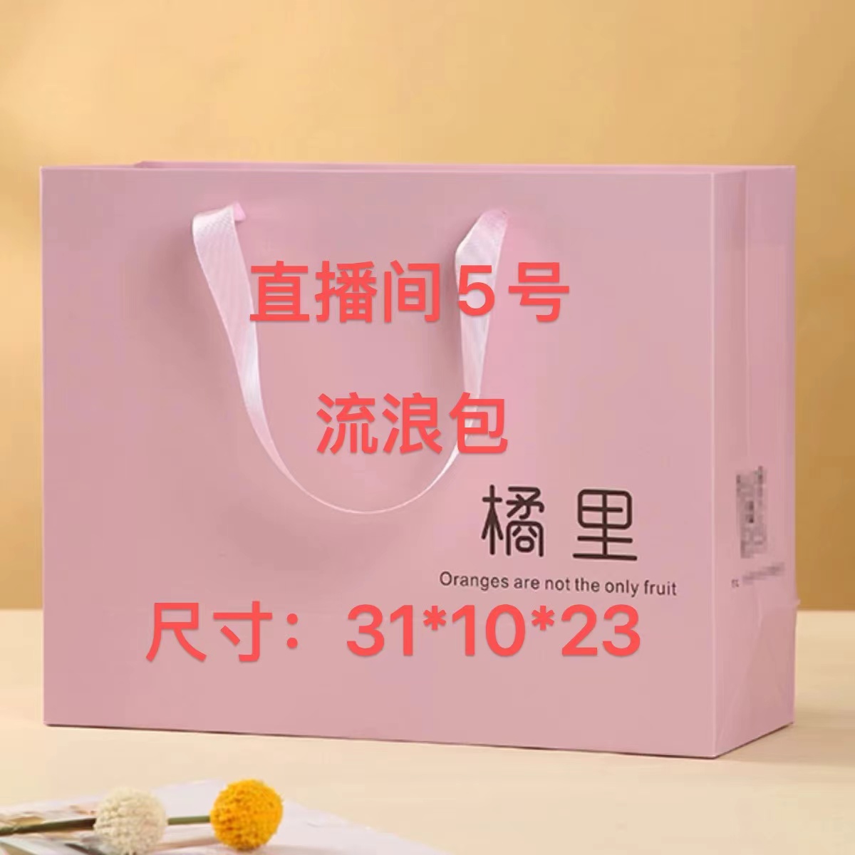 YA【5号】2025新款百搭时尚女包  流浪包