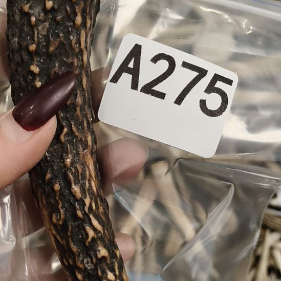 闲***事鹿角鹿角鹿角鹿角鹿