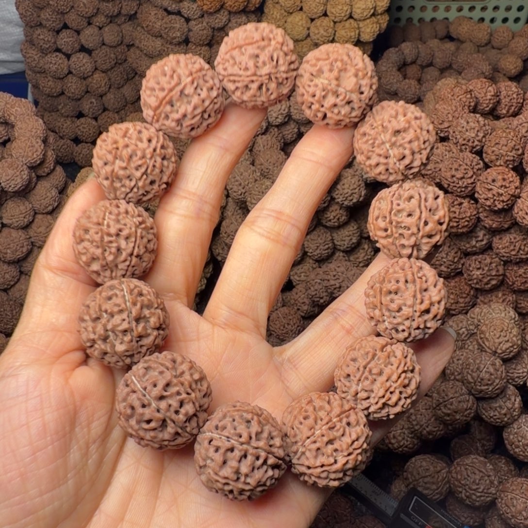 金刚菩提手串8瓣卡22尺，87号