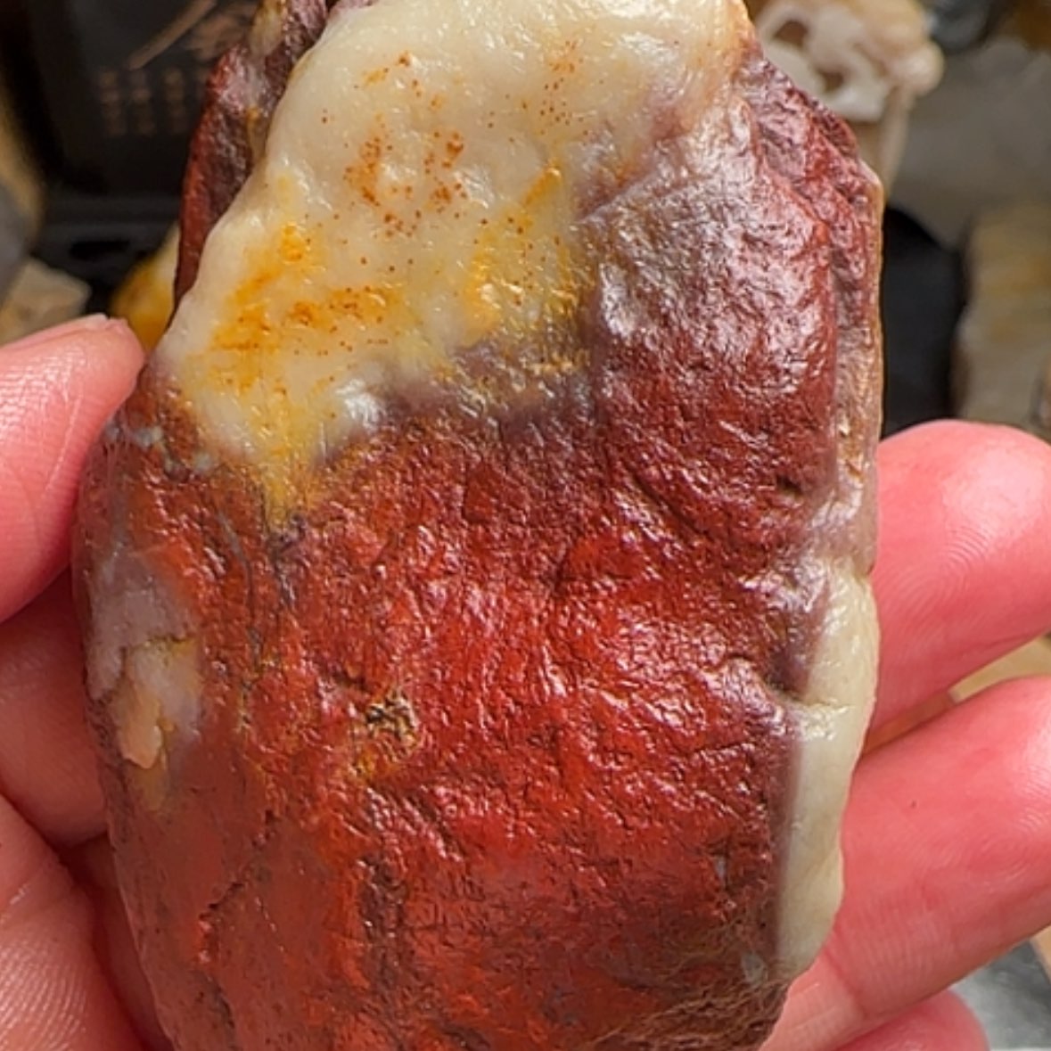 【闪购商品】田黄石哈****押昌化田黄原石