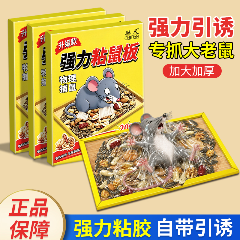 【抓聪明大鼠】强力粘鼠板加大加厚加胶家用灭鼠板捕鼠贴黏鼠板A