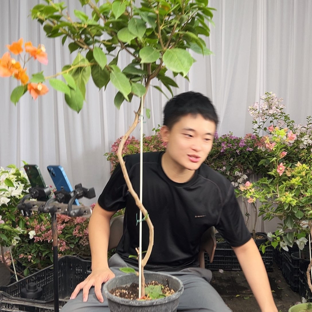 和***）当前无花栽培后可以开花D48变色龙
