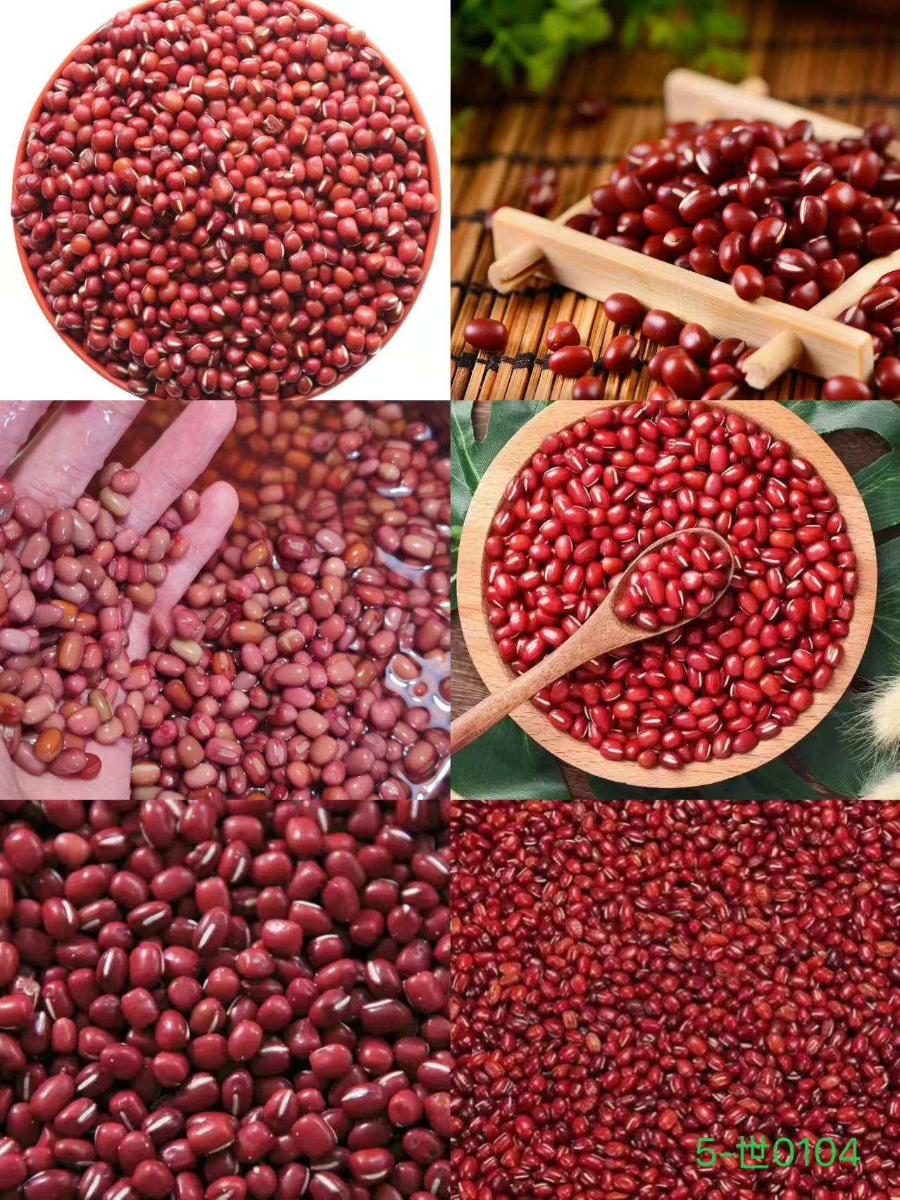 《5》来总专属土特产红豆-1.8cm-世0104-45g