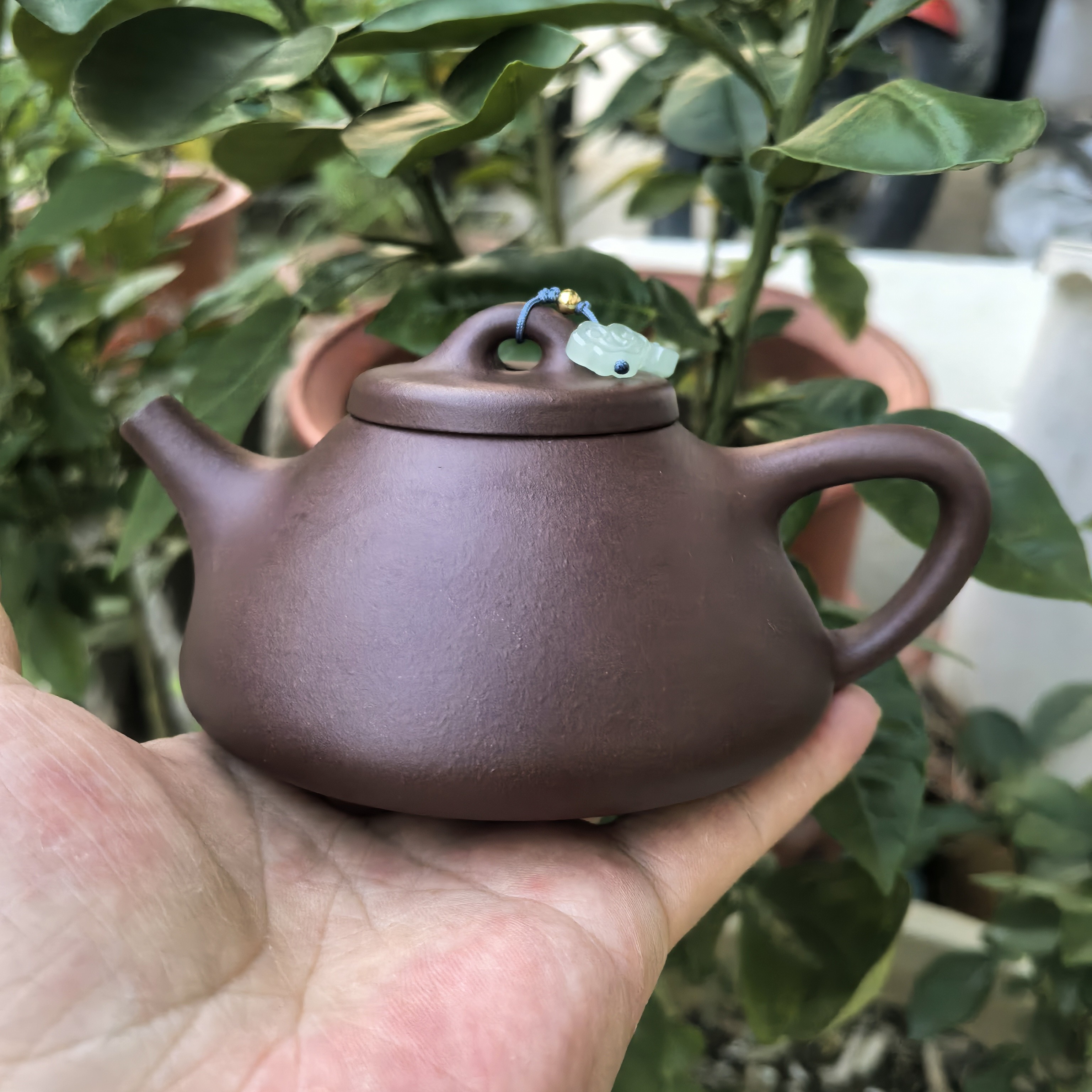 子冶石瓢，原矿老紫泥，230cc，精工半手制作紫砂壶茶具泡茶壶泥壶