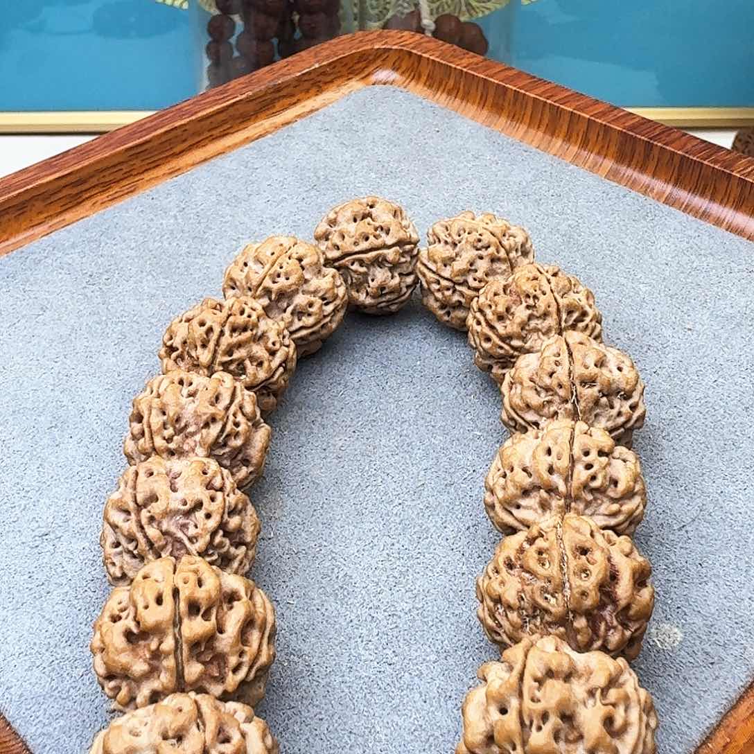 凤眼菩提吊坠铁籽蜂窝双龙