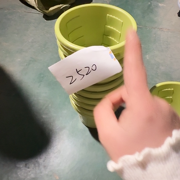 编号2520果绿无托10个