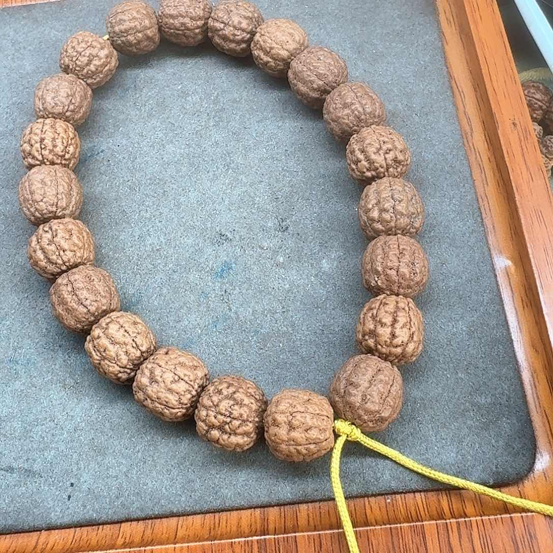 金刚菩提手串六瓣碧根果15.5微黄头