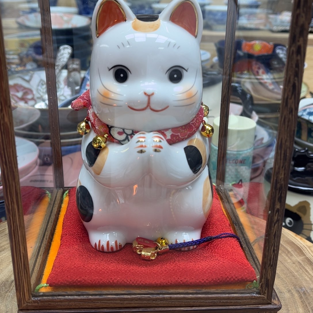 我的姐姐们好可爱