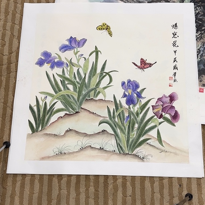 国画啊*?花鸟的翅膀是白色和