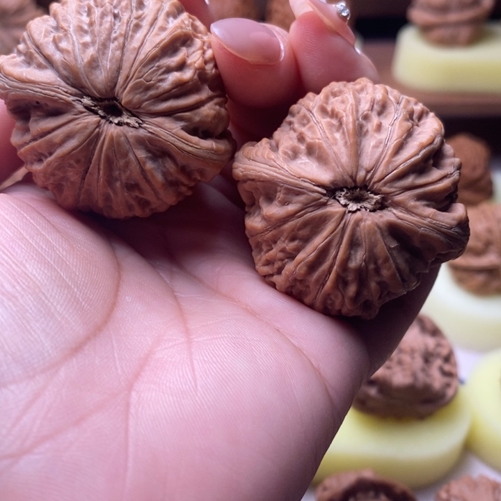 独***猫大叶紫檀（黑酸枝木类）铁锤妹妹