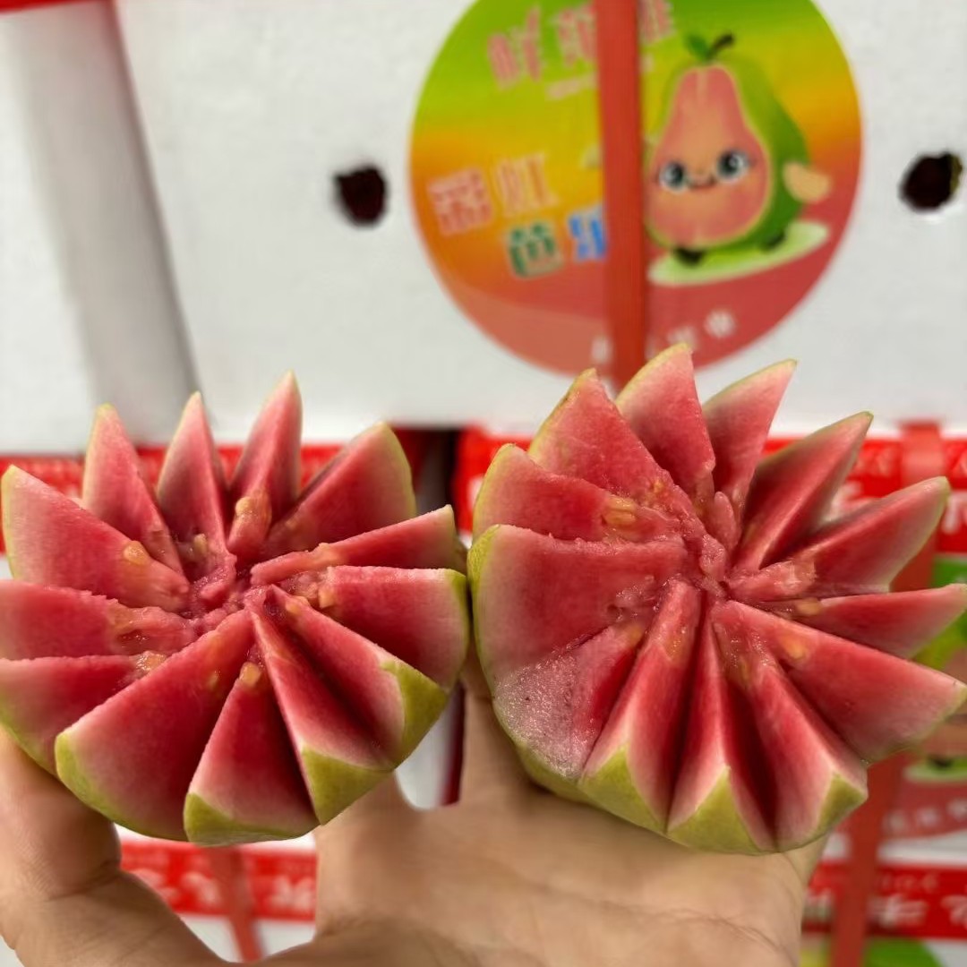 鲜果维彩虹奶油芭乐黑龙江省