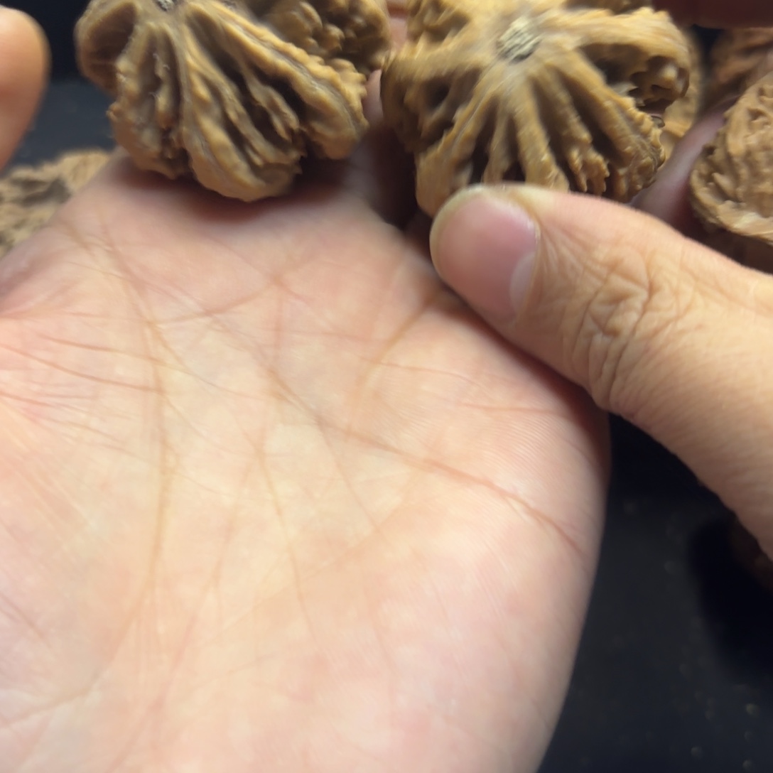 远***哥文玩核桃吊坠558966666666