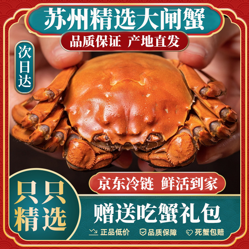 【活蟹现发】鲜活大闸蟹 公4.3-4.0母3.3-3.0两 6只/8只/10只