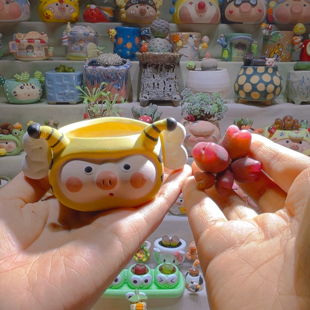 晗*晗宝专属链接拍拍