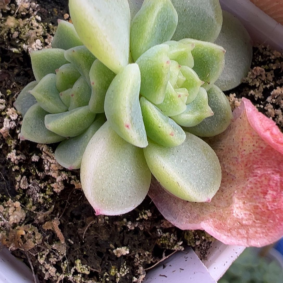家***6财富密码。          
