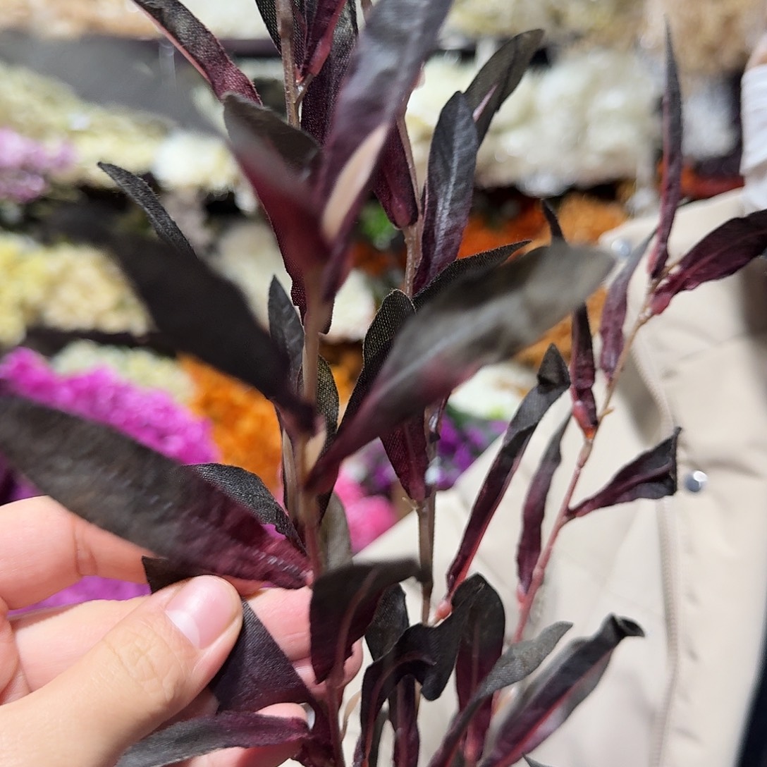 530号叶子大支10支