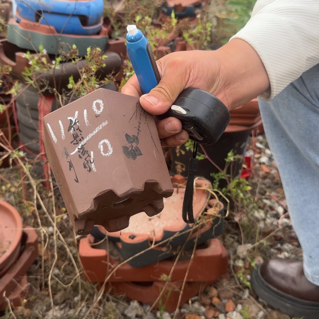 紫砂花盆紫砂花盆花盆盆景盆栽