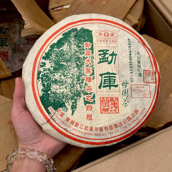 勐库戎氏2006母树茶春冰岛老寨古树普洱生茶临沧代表昆明干仓高香