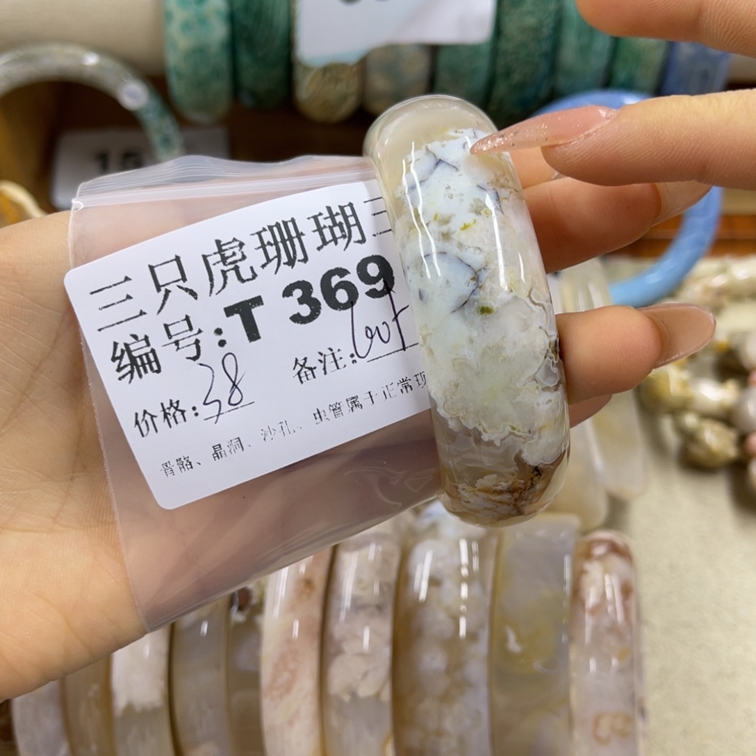 诗***诗硅化珊瑚（珊瑚玉）未镶嵌h