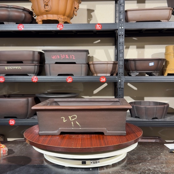 H***G花盆紫砂我的小可爱小