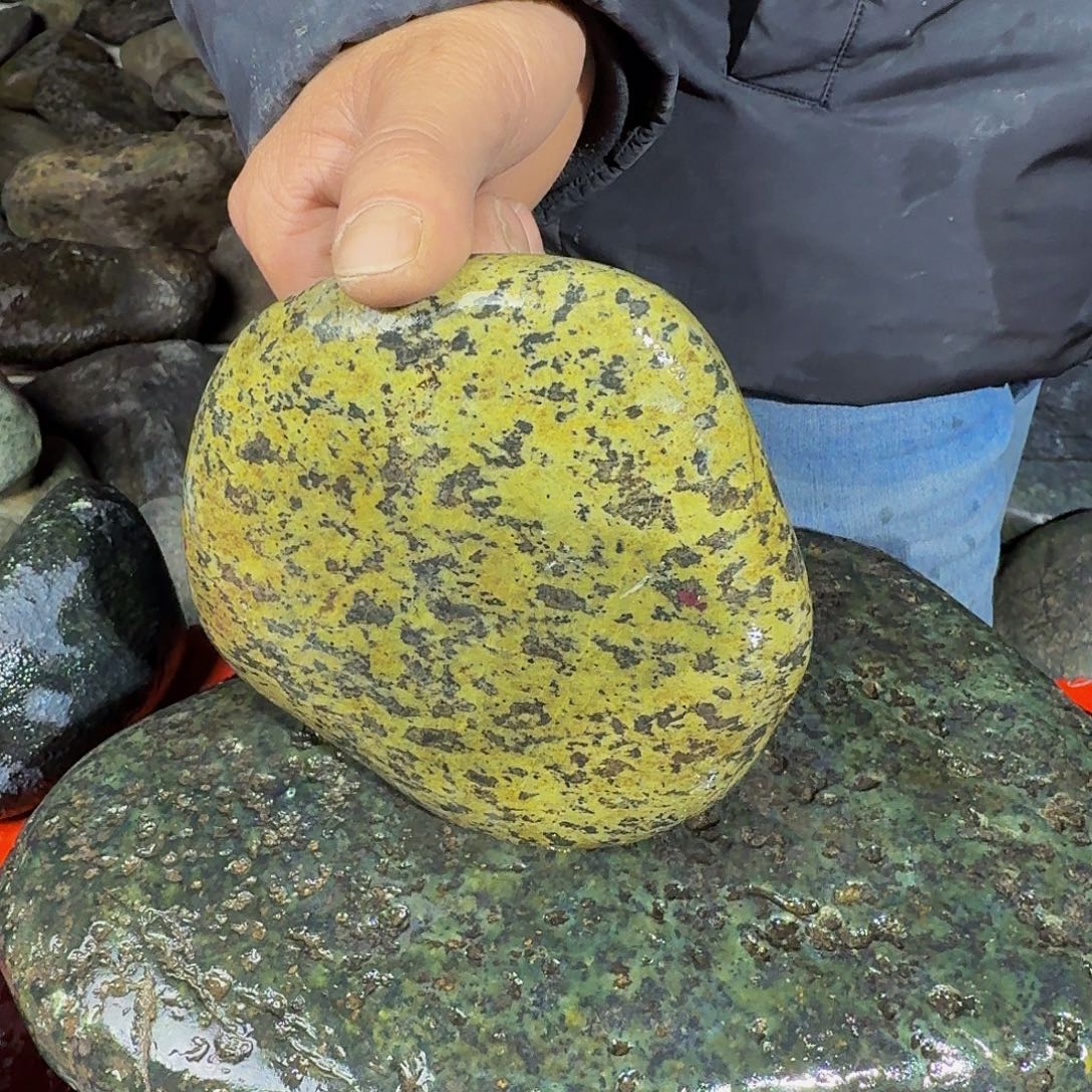 君***辉蛇纹石玉未镶嵌天然原石摆件工艺