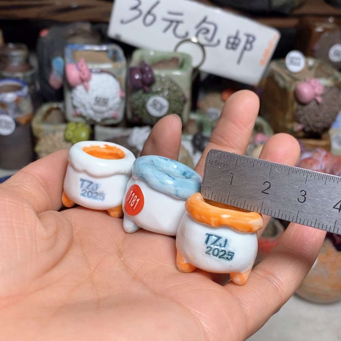 处理的，不退不换，原价28一个