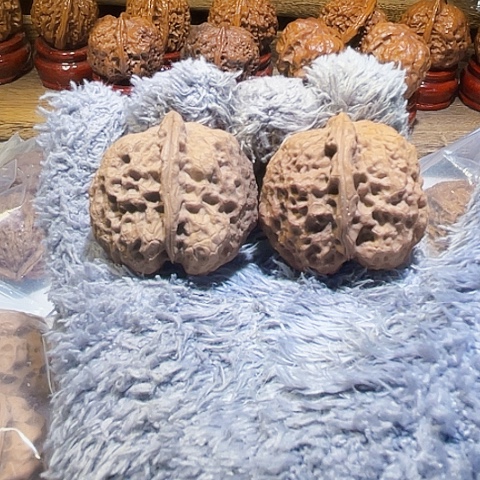 把件文玩核桃太平有象带彩40