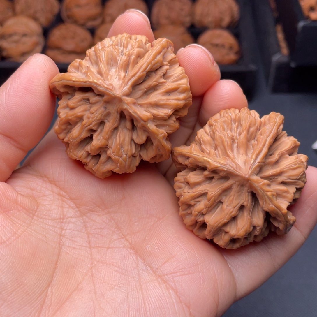 把件文玩核桃秦岭山脉文玩核桃