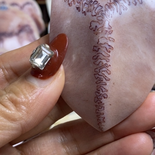 半***雨手串/手链鹿骨养殖鹿鹿三界手把件