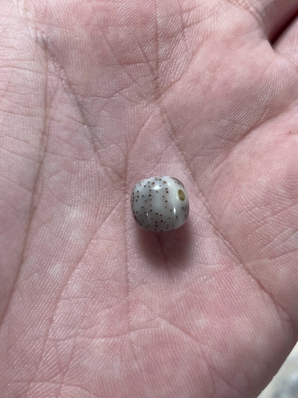2海南料原生态星月菩提改价链接