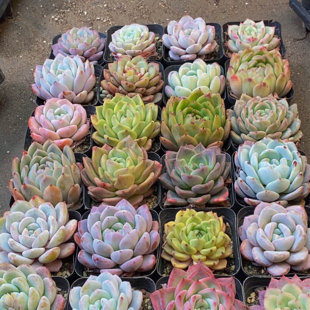 330的人在一起的时候