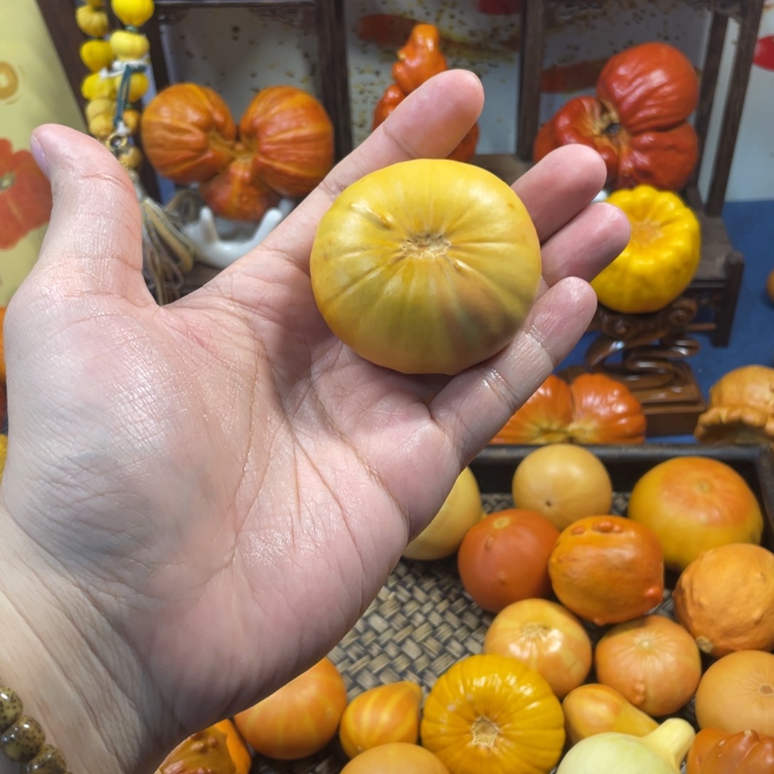 双色扁555555555555555