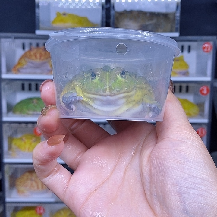 特价秒杀现货特价