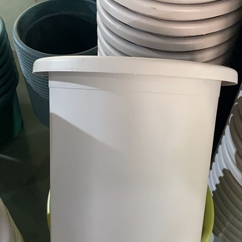 树脂四季7号微瑕灰白无托6个