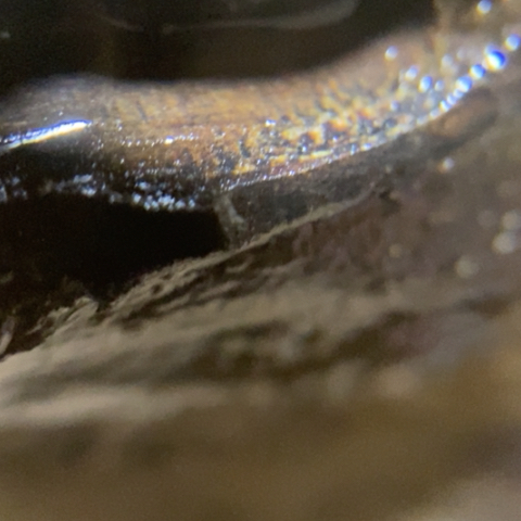 醉***卧贡木把件定制123578985