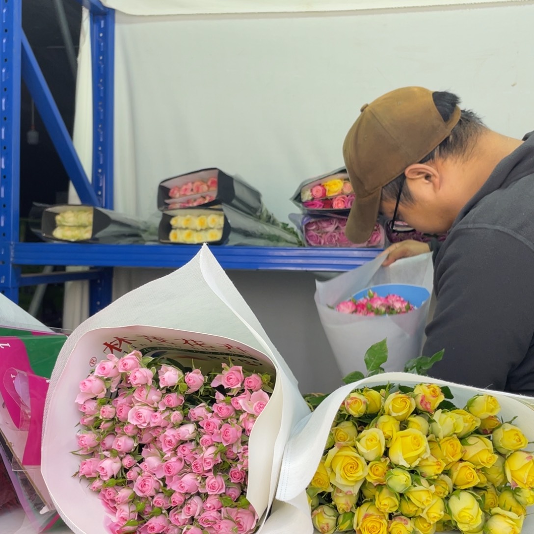 小羊专拍包邮发货！