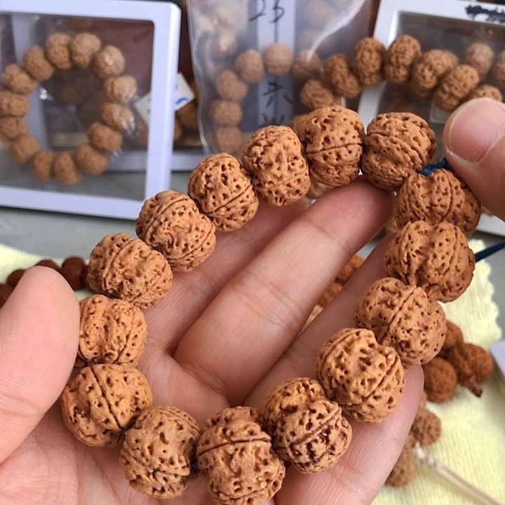 金刚菩提吊坠矮桩双龙梅花22