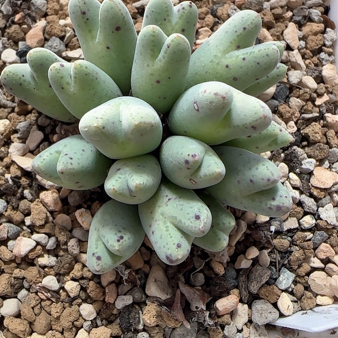 冰***雹哈哈哈哈哈哈哈21