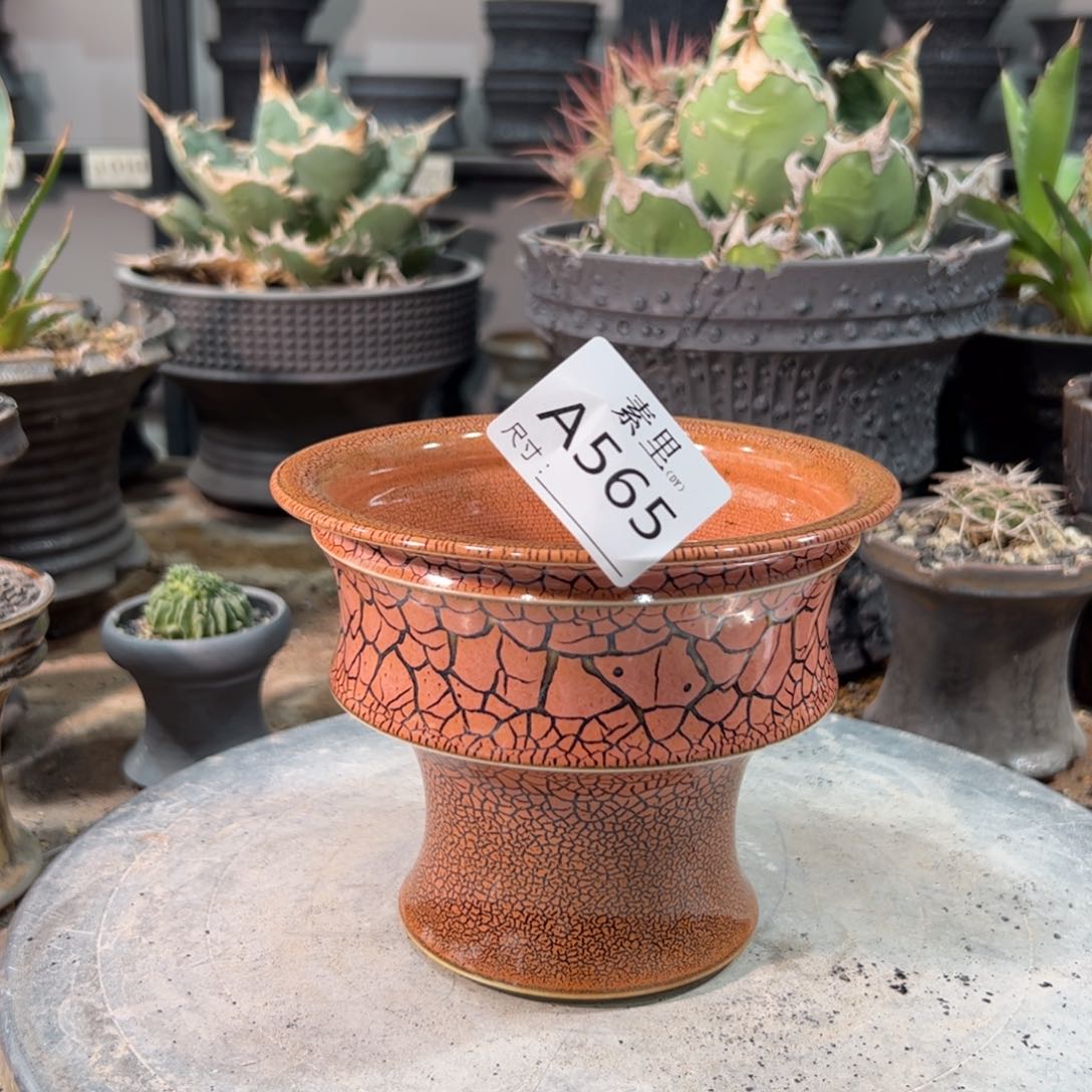 景德镇素里手工内口12.5高11