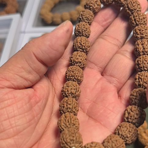 ㅤ***ㅤ把件金刚菩提一代盘龙小金刚手把件下水去黄，精挑细选