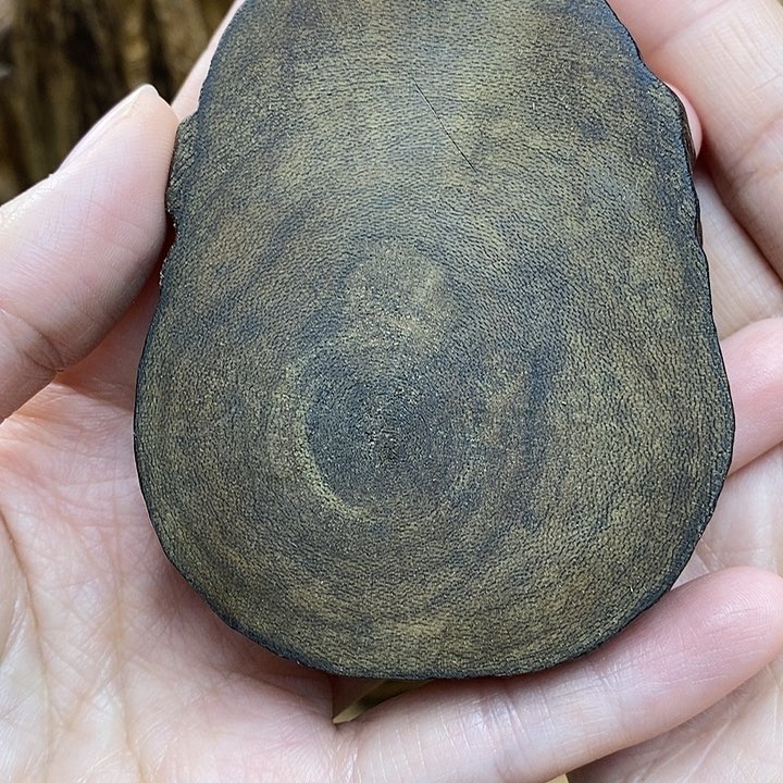 沉香手把件柬埔寨老料26.3克