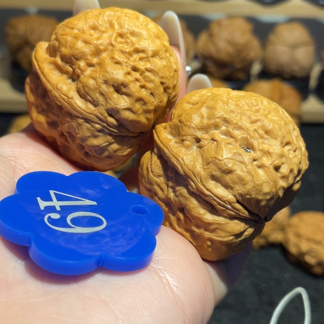 平头蟾核桃42。    