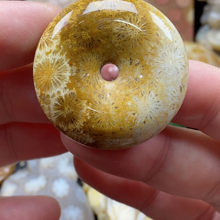 硅化珊瑚（珊瑚玉）颈饰未镶嵌