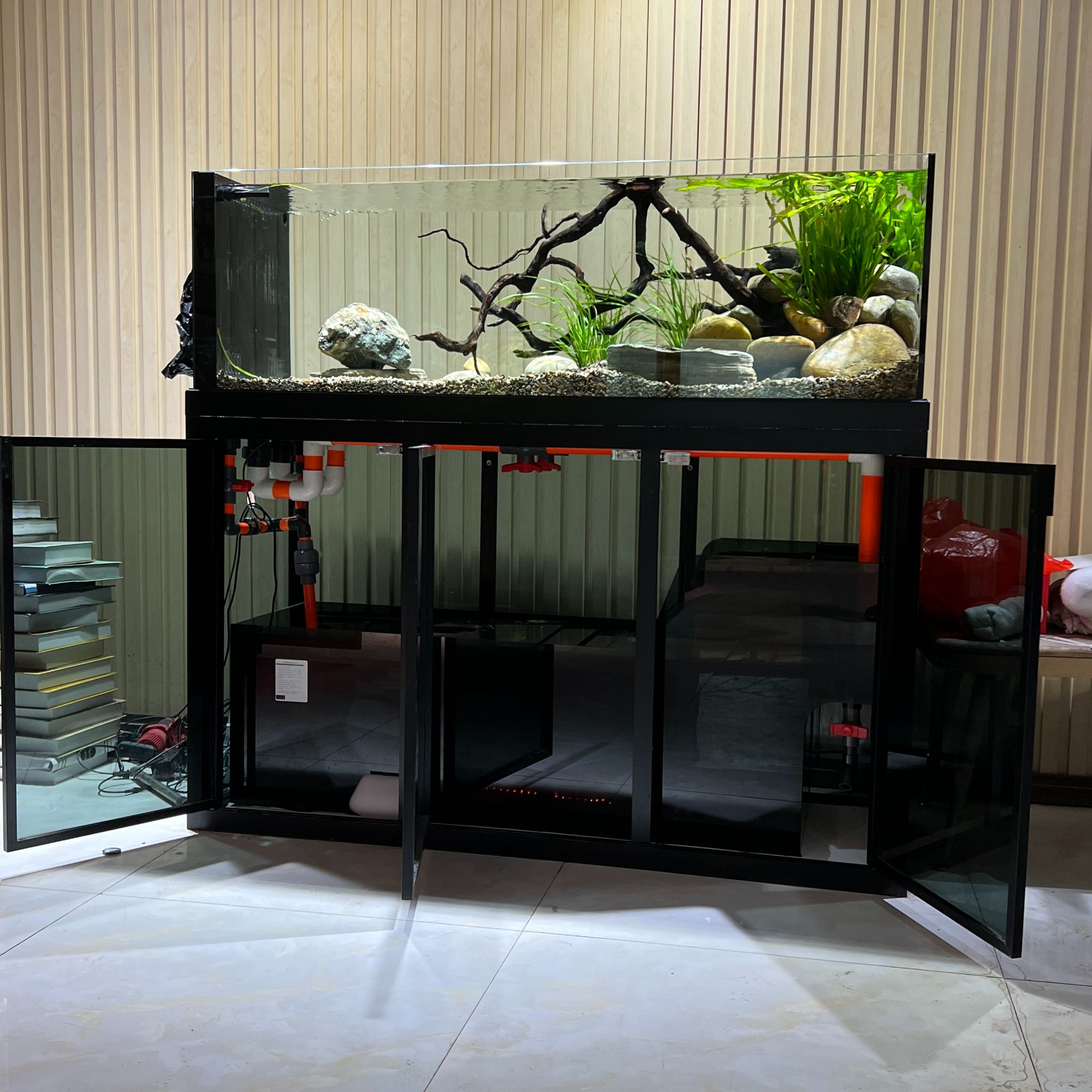 50缸高，兰寿太师蝴蝶鲤鱼三湖慈鲷