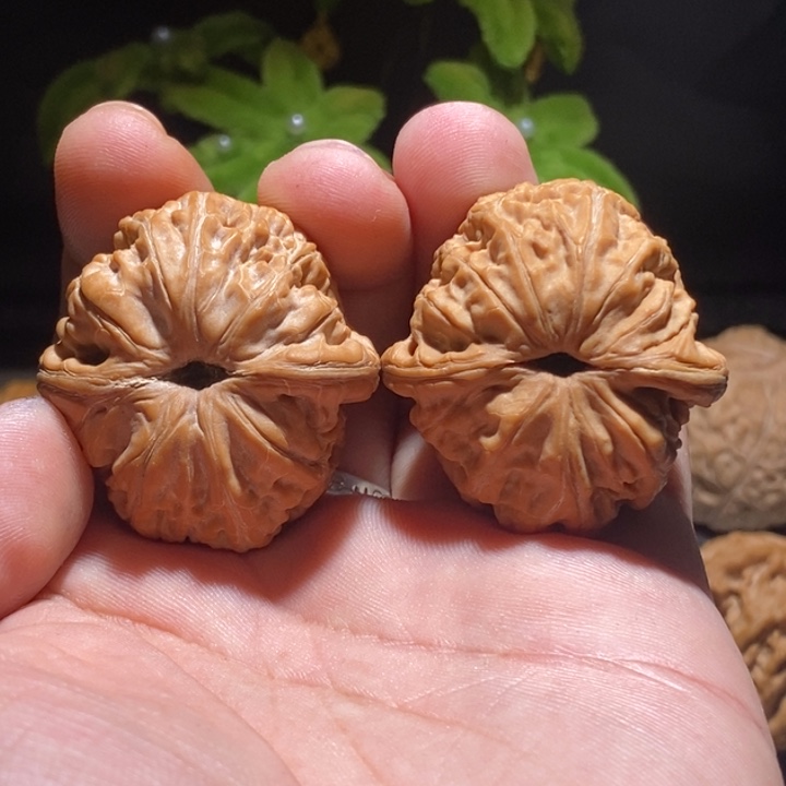 晴***鹤把件文玩核桃40元宝