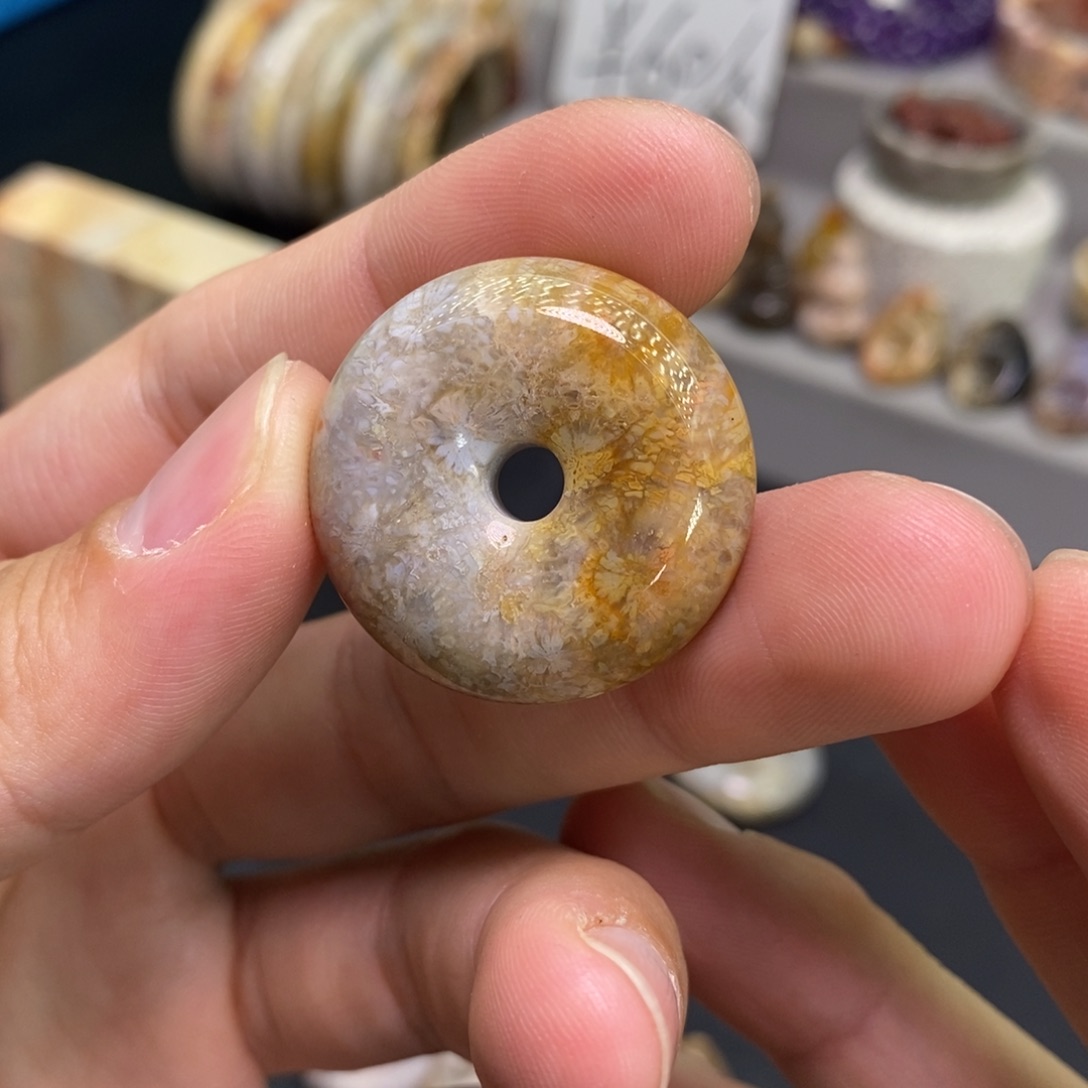 硅化玉未镶嵌颈饰