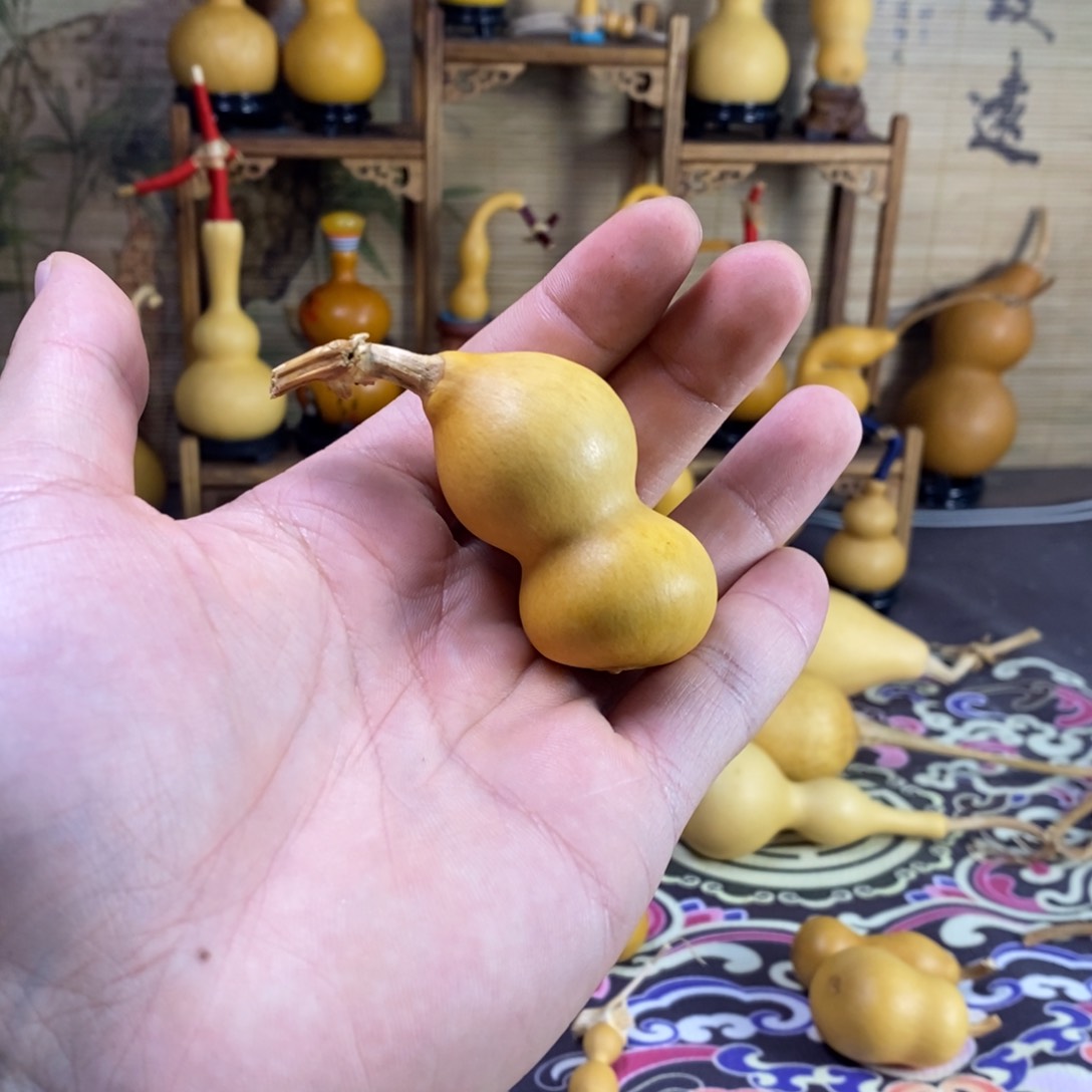 激**哥葫芦葫芦葫芦葫芦