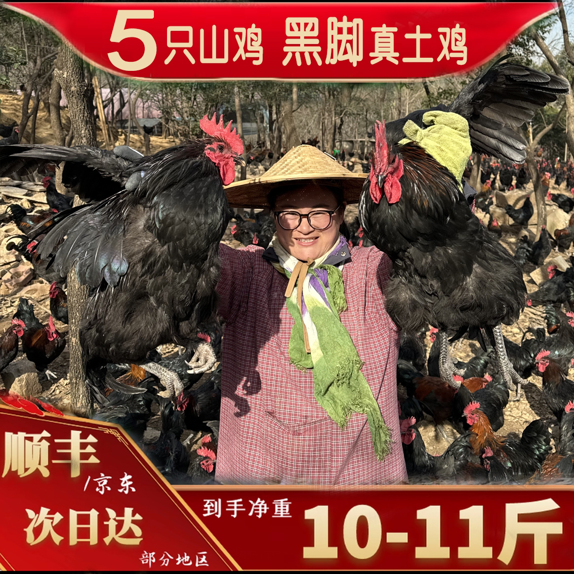 5只黑脚童子鸡纯粮喂养净重10-11斤 肉质鲜嫩 净膛发货