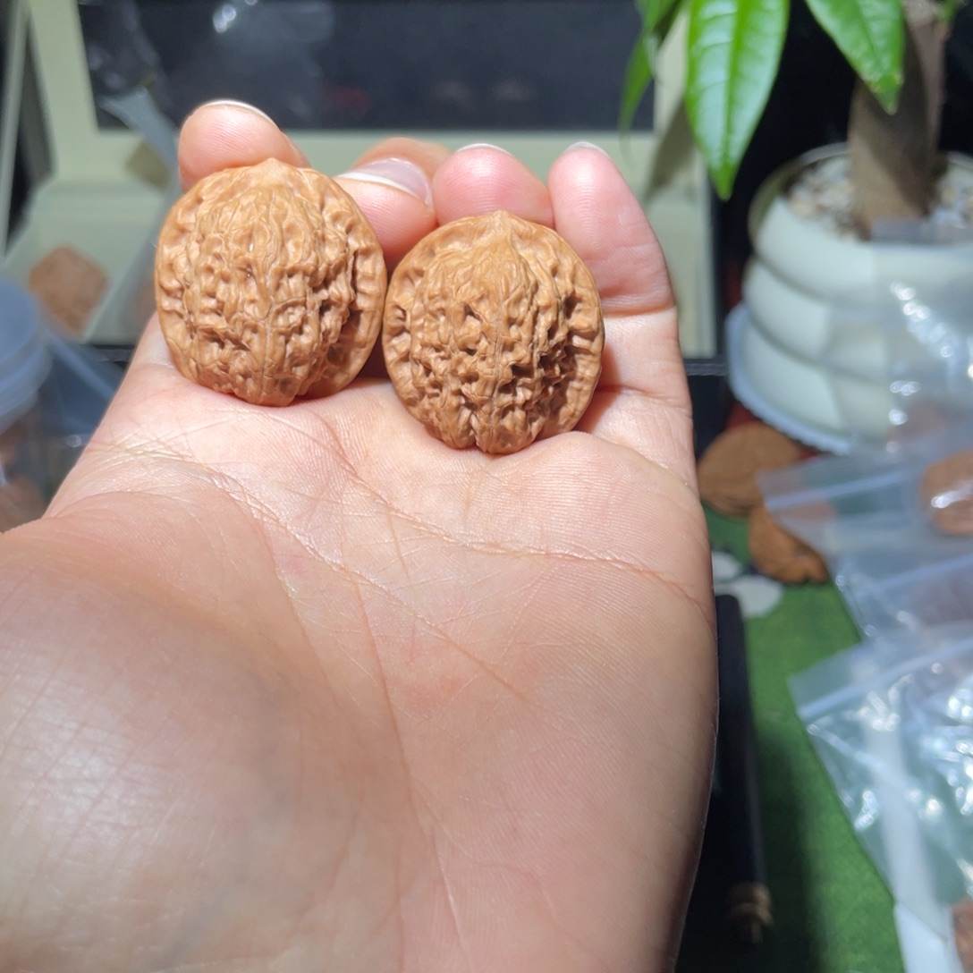 文玩核桃把件31野核手捻