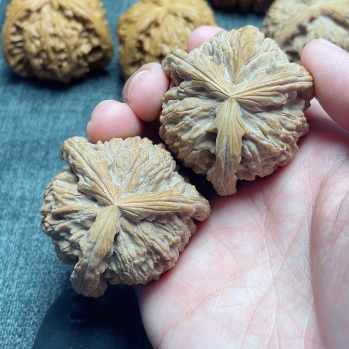 本****员工艺三棱白狮子三棱